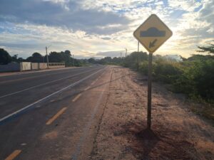 Prefeitura de Porto Seguro intensifica obras no semianel viário para reforçar segurança no trânsito 1