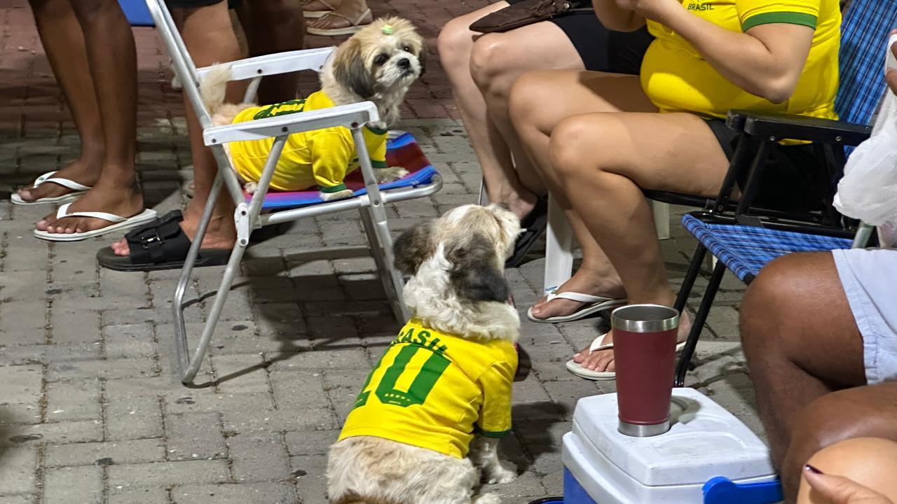 Passarela da Cultura reúne torcedores para a estreia do Brasil na Copa do Mundo 6