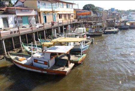 Suzano contribui com a atividade pesqueira no Extremo Sul da Bahia Suzano contribui com a atividade pesqueira no Extremo Sul da Bahia 125