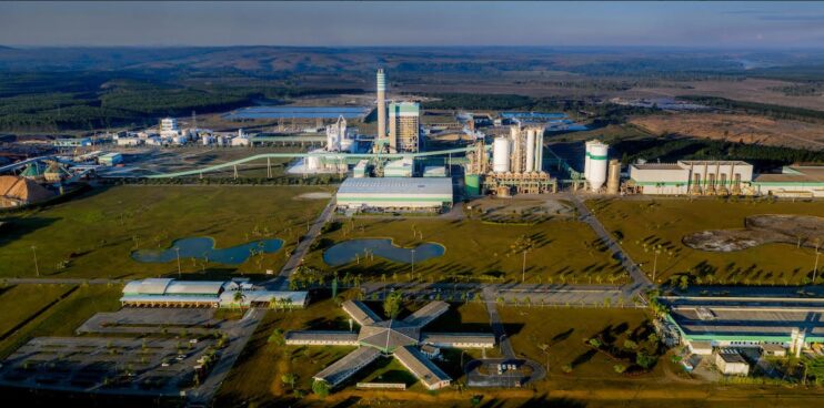 35 anos da Veracel: como a empresa ajudou a transformar o Sul da Bahia 35 anos da Veracel: como a empresa ajudou a transformar o Sul da Bahia 4