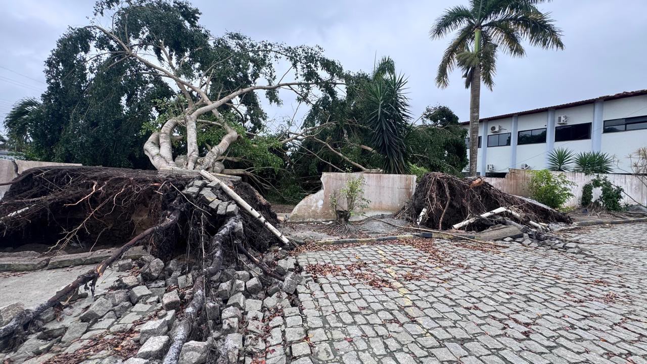 Prefeitura de Eunápolis decreta Situação de Emergência após vendaval e intensifica ações de recuperação 5
