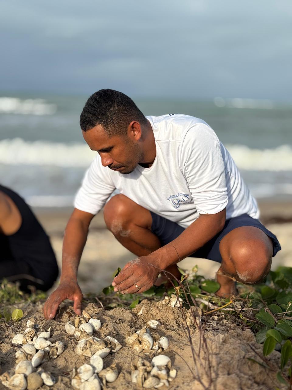 Nascimento de tartarugas-de-pente reforça preservação em Trancoso 5