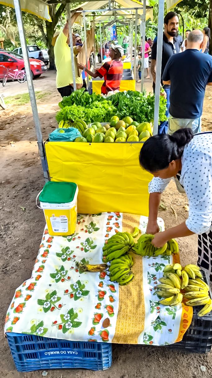 Semana da Agricultura impulsiona economia rural em Porto Seguro 9