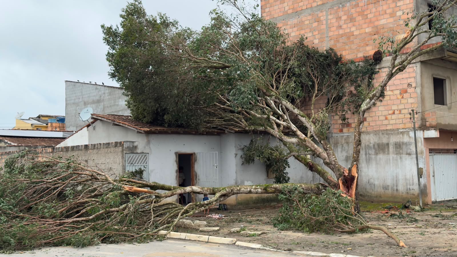 Temporal provoca estragos em todos os bairros de Eunápolis e mobiliza força-tarefa da Prefeitura 6