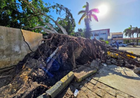 Danos causados por tempestade na Câmara de Eunápolis leva presidente a decretar estado de emergência Danos causados por tempestade na Câmara de Eunápolis leva presidente a decretar estado de emergência 126