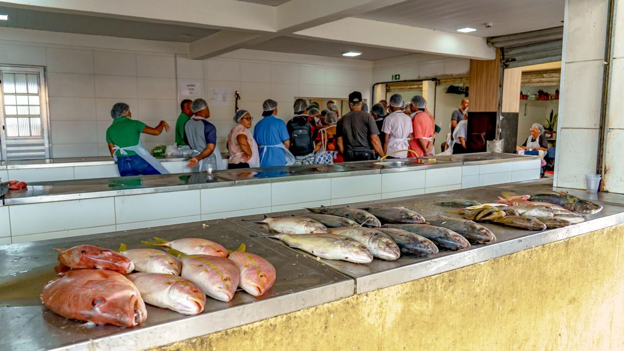 Curso de aproveitamento de Pescados estimula empreendedorismo feminino 8