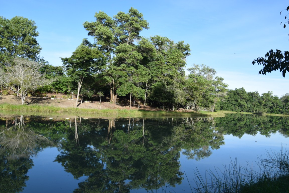 Prefeitura de Eunápolis recebe Projeto Vida Marinha e leva educação ambiental aos estudantes 9