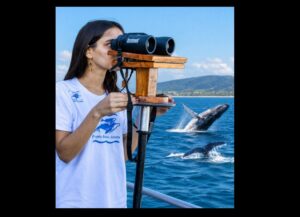 Observatório de Baleias-Jubarte unirá turismo, ciência e patrimônio na Cidade Histórica Observatório de Baleias-Jubarte unirá turismo, ciência e patrimônio na Cidade Histórica 117