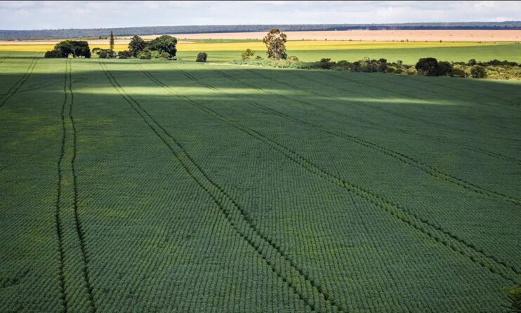 Senado aprova plano para fabricação de fertilizantes no Brasil Senado aprova plano para fabricação de fertilizantes no Brasil 4
