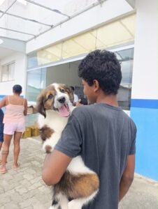 Campanha Antirrábica 2026 em Eunápolis já alcança mais de 10,6 mil animais vacinados Campanha Antirrábica 2026 em Eunápolis já alcança mais de 10,6 mil animais vacinados 117