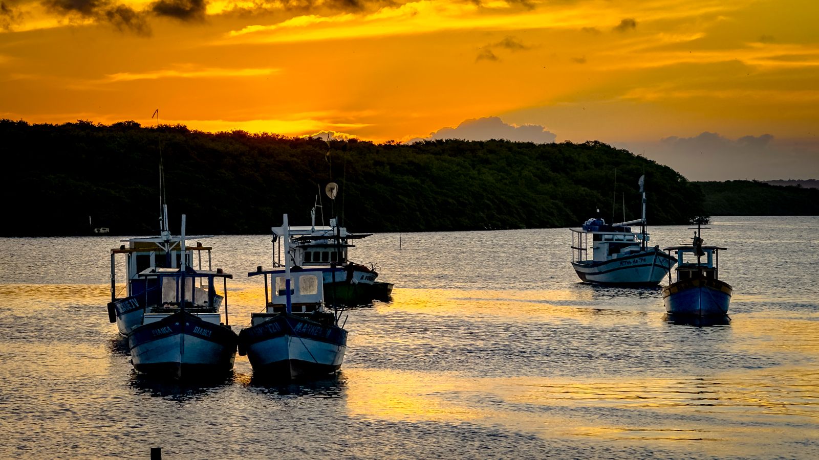 Pescado de Porto Seguro alcança mercado internacional americano e chinês fortalecendo tradição pesqueira 9