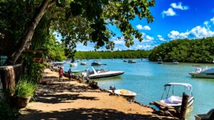 Porto Seguro lidera vendas da CVC entre destinos nacionais em 2026 Porto Seguro lidera vendas da CVC entre destinos nacionais em 2026 117