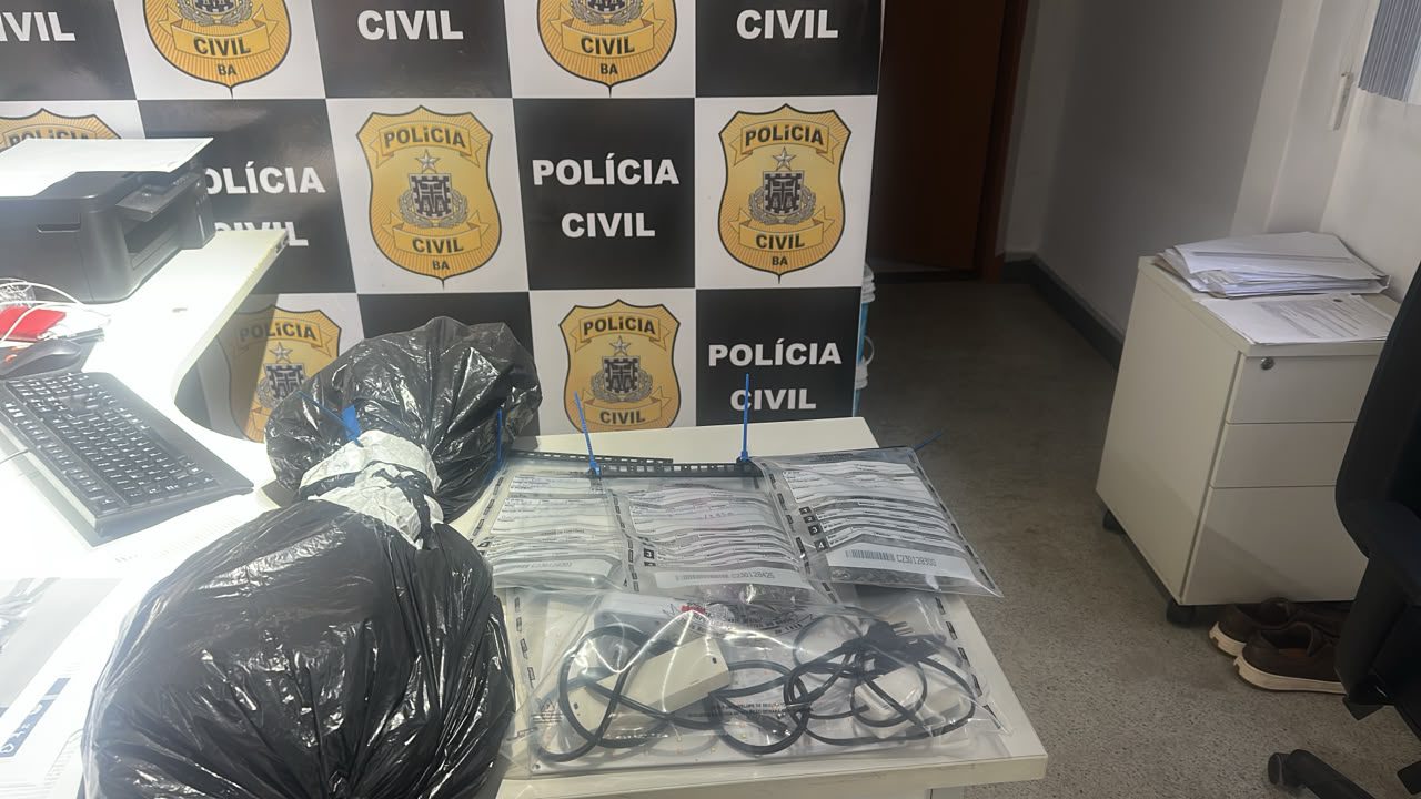 Polícia encontra estufa com pés de maconha em casa no distrito de Trancoso, em Porto Seguro 5