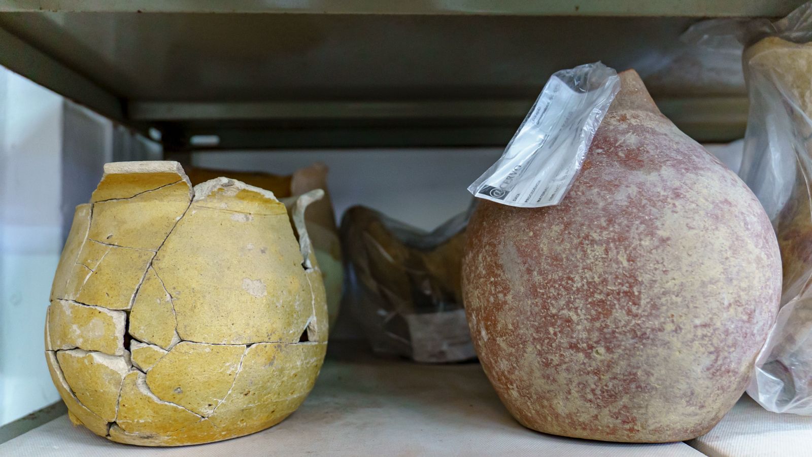 150 mil peças arqueológicos encontrados no quintal do Museu de Arqueologia em Porto Seguro entram em nova fase de pesquisa 8