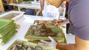 150 mil peças arqueológicos encontrados no quintal do Museu de Arqueologia em Porto Seguro entram em nova fase de pesquisa 150 mil peças arqueológicos encontrados no quintal do Museu de Arqueologia em Porto Seguro entram em nova fase de pesquisa 117