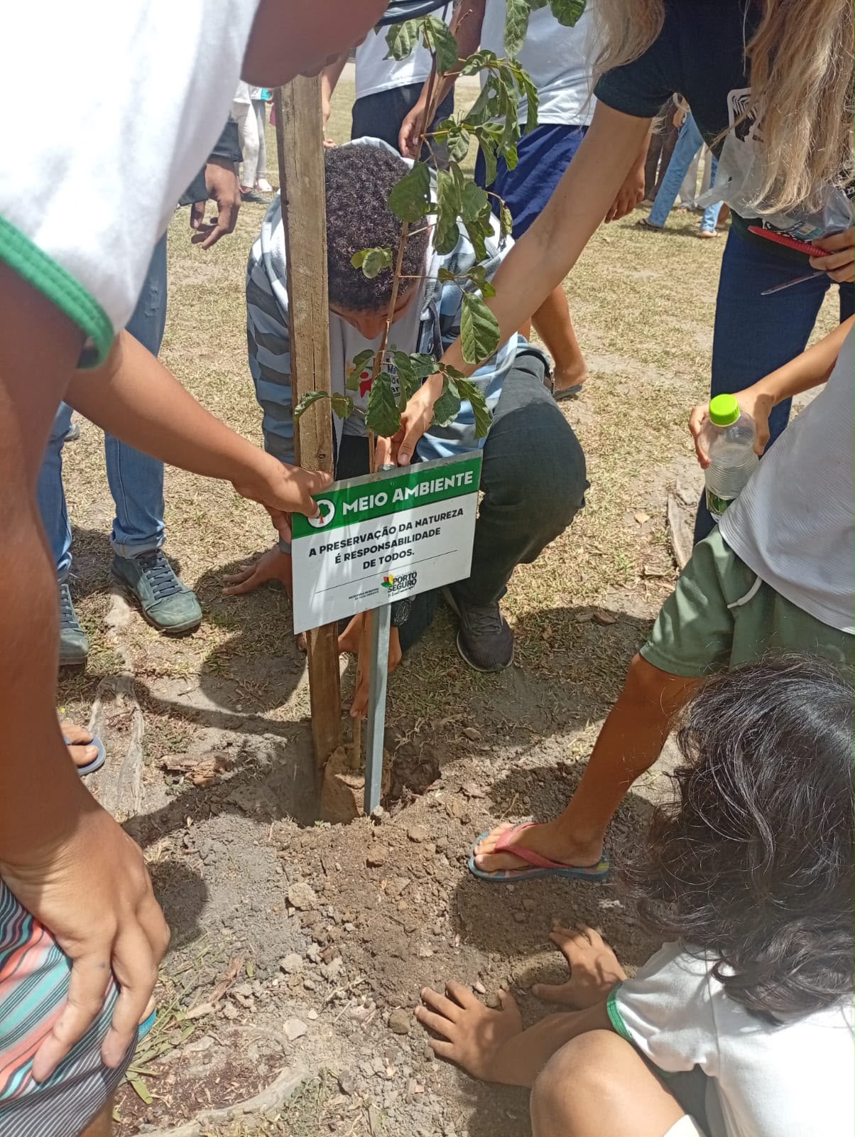 Praça do Vale Verde recebe novas mudas 8