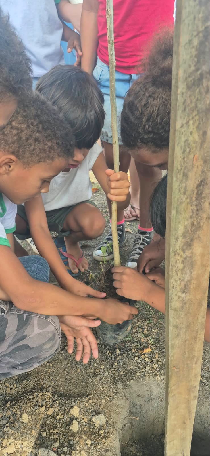 Praça do Vale Verde recebe novas mudas 6