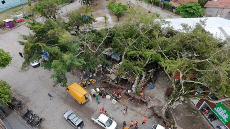 Defesa Civil atualiza levantamento sobre queda de árvores em Trancoso Defesa Civil atualiza levantamento sobre queda de árvores em Trancoso 4