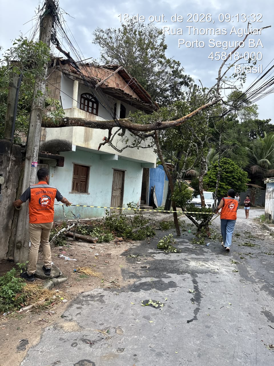 Defesa Civil atualiza levantamento sobre queda de árvores em Trancoso 8