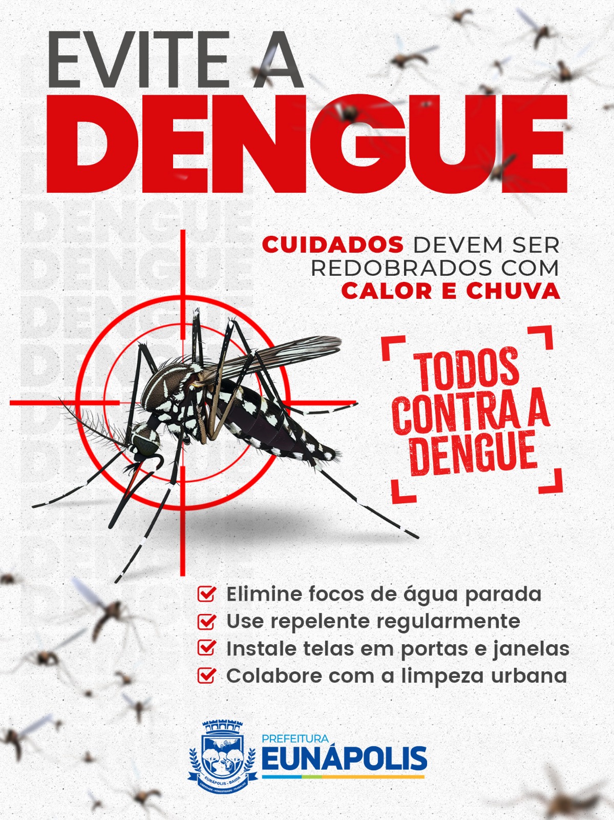 Prefeitura de Eunápolis reforça prevenção à dengue durante período de chuvas e calor 5