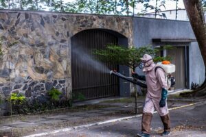 Prefeitura de Eunápolis reforça prevenção à dengue durante período de chuvas e calor Prefeitura de Eunápolis reforça prevenção à dengue durante período de chuvas e calor 1